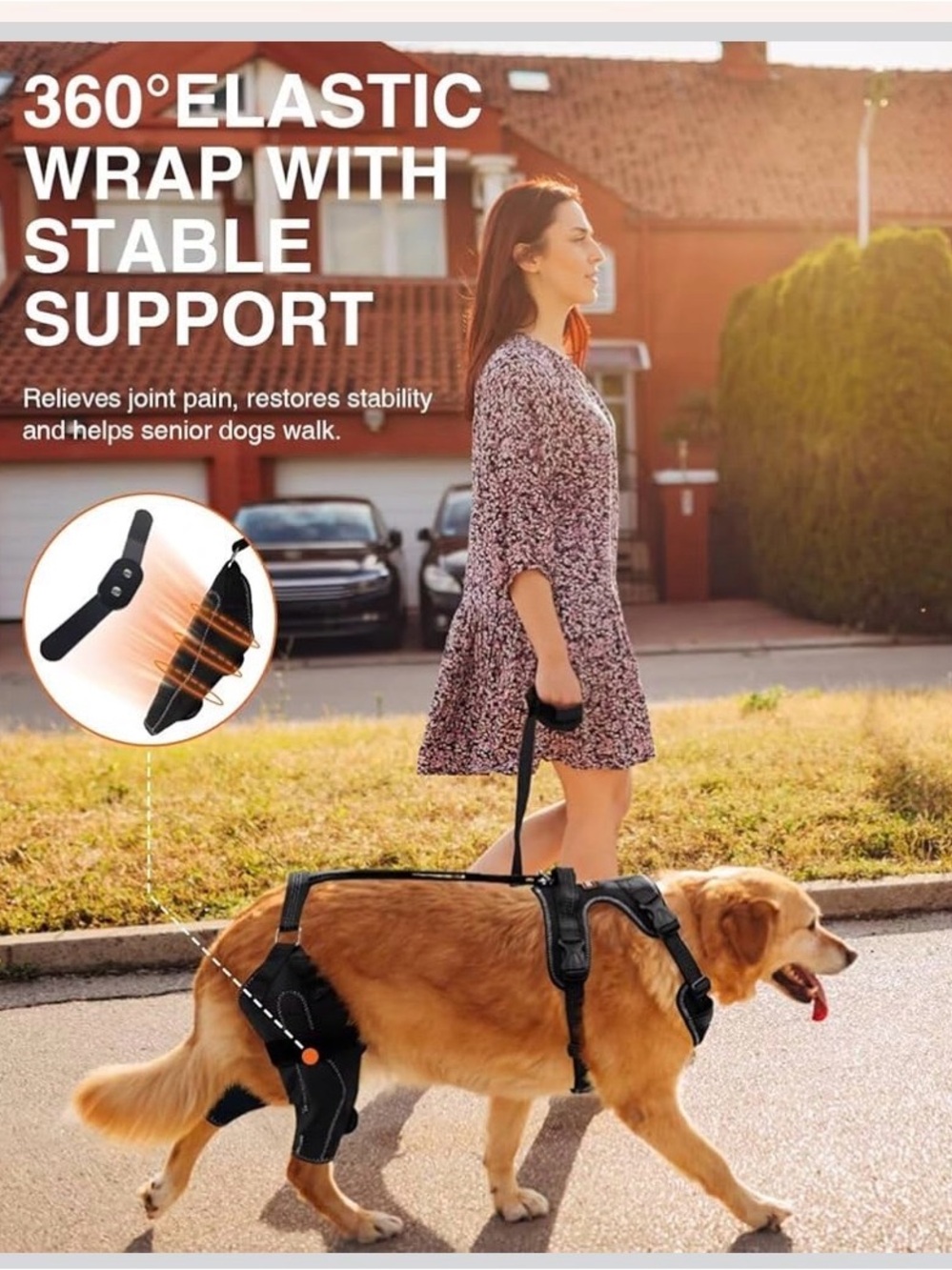 Adjustable Black Rear Support Harness for Dogs - Mobility Aid - Picture 3 of 11